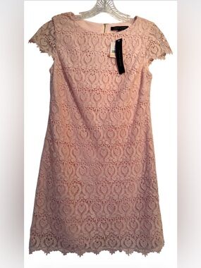 Elegant And Beautiful Cynthia Steffe Blush Pink Lace Dress